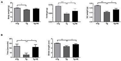 Anti-inflammatory Effects of a Novel Herbal Extract in the Muscle and Spinal Cord of an Amyotrophic Lateral Sclerosis Animal Model